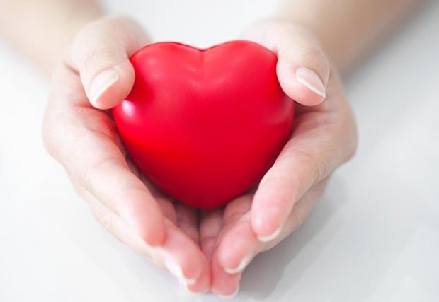 Two hands holding a heart Two hands holding a heart